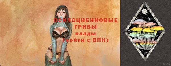 гидропоника Бородино