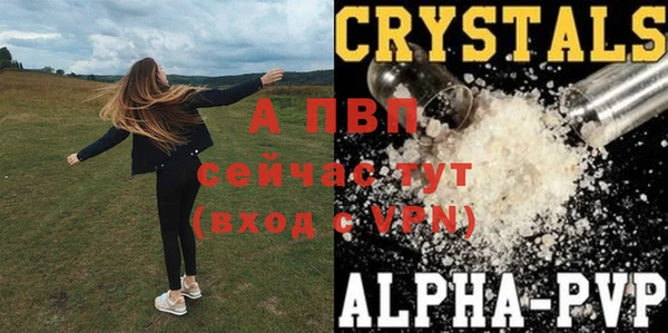 прущие крисы Богданович