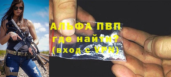 гидра Богородск