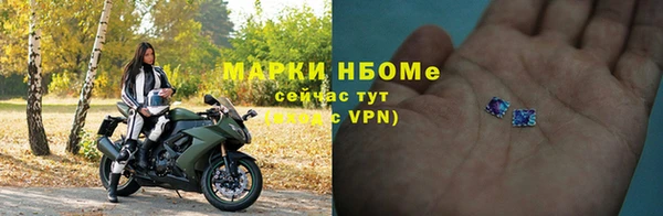 гидра Богородск