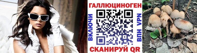 darknet состав  Нерюнгри  Псилоцибиновые грибы Psilocybine cubensis 